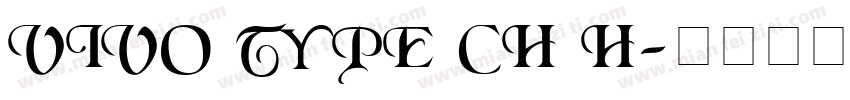vivo type CH H字体转换